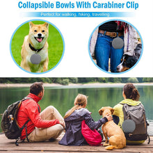 Load image into Gallery viewer, Foldable Double Feeding Bowl For Pets
